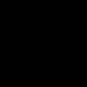 Meet your Posher, Donny